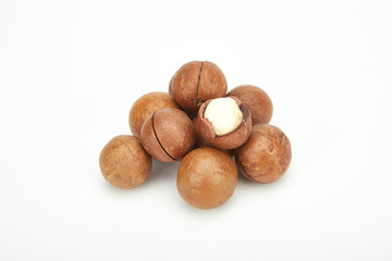 Macadamia fruit