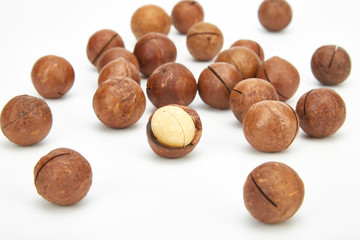 Macadamia fruit