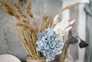 dry flowers in the interior, bouquets of dried flowers