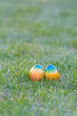 Fototapeta premium colorful easter eggs lying in the backyard grass. copyspace. isolated