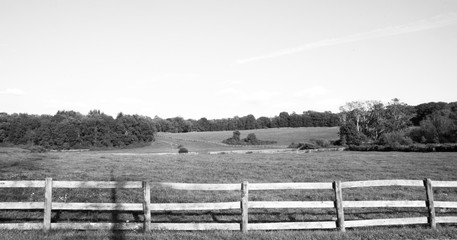 black and white country landscape with fence