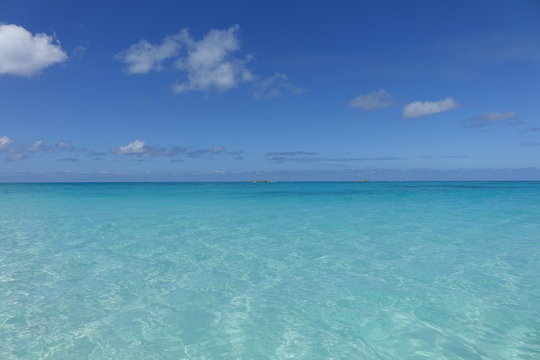 MARE BIMINI BAHAMAS - SEA BIMINI BAHAMAS