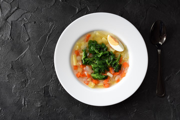 Cooking with wild herbs. Homemade vegetable soup with nettle and egg in white plate on black background copy space