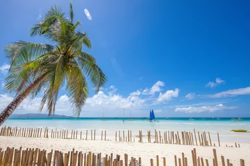 Photo sur Plexiglas Plage blanche de Boracay white beach and bamboos on Boracay island, Philippines.