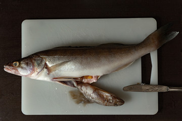Predatory freshwater perch on a cutting board, fish sticking out of its belly