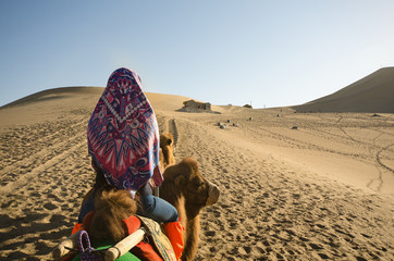 Camel Riding Back View Person