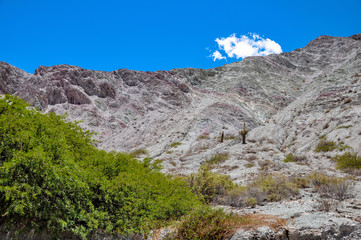 Fototapeta premium Mountains and cacti in the province of Salta in the northwest of Argentina