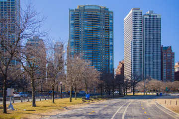 Obraz premium downtown Chicago downtown