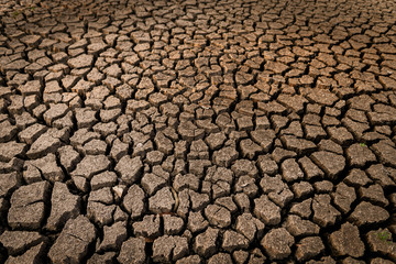 dry cracked soil. Global Warming concept.