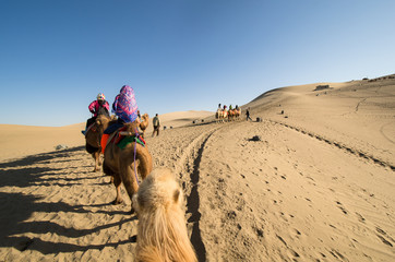 Camel Riding Guided Tour