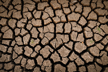 dry cracked soil. Global Warming concept.