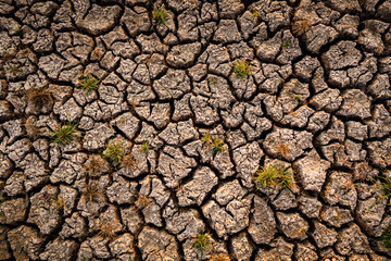 dry cracked soil. Global Warming concept.