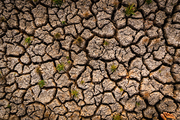 dry cracked soil. Global Warming concept.