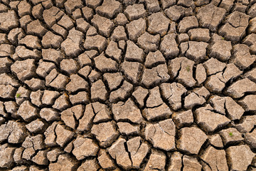 dry cracked earth texture. Global Warming concept.