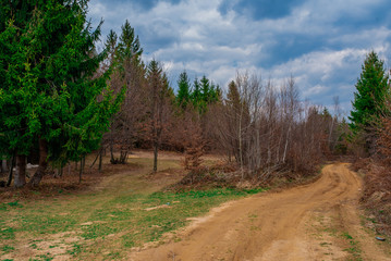 The country or gravel road in the middle of the wild 
