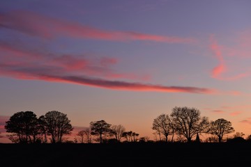 Naklejka na ściany i meble Parish rural landscape, Jersey, U.K. Spring sunset over a field.
