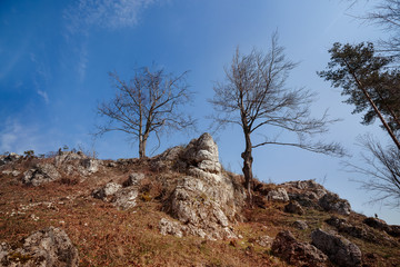 Skały wapienne, krajobraz © elisabeth3