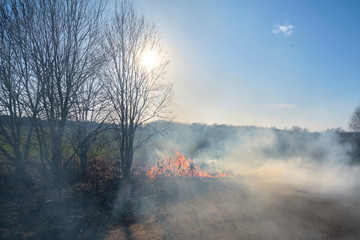 Fire. Burning last year's dry grass with plenty of smoke could turn into a tragedy.