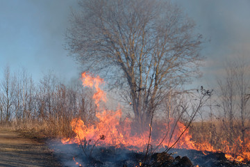 Fire. Burning last year's dry grass with plenty of smoke could turn into a tragedy.