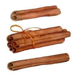 watercolor hand drawn illustration set with dried brown realistic cinnamon sticks spices aromatic condiment for mulled wine cuisine cooking eating cassia for healthy organic food packaging labels