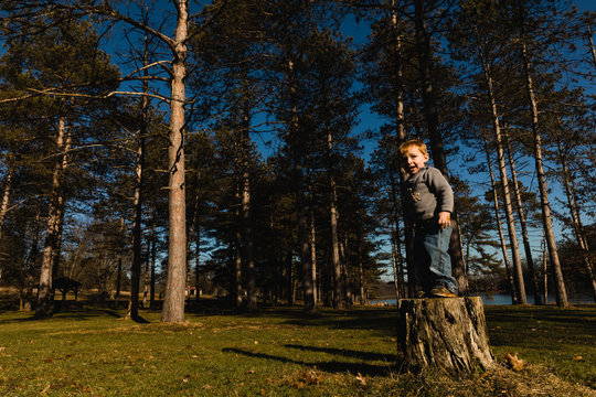 young boy stands on a tree stump in the woods, smiling at the camera