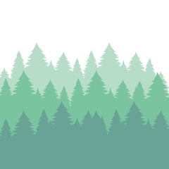 Background of fir trees