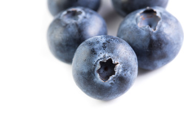 fresh large blueberry