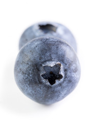 fresh large blueberry