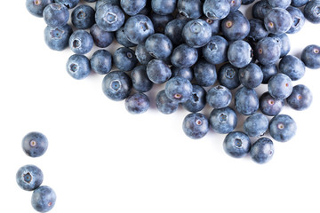 fresh large blueberry