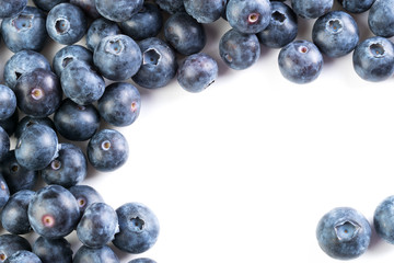 fresh large blueberry