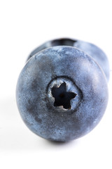 fresh large blueberry