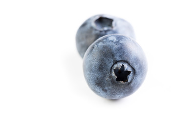 fresh large blueberry