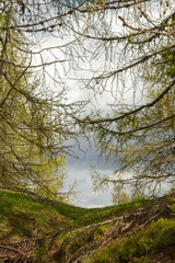 Mountain trail on the Mount Lussari (East Alps, Italy)