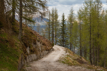 Fototapeta na wymiar Mountain trail on the Mount Lussari (East Alps, Italy)