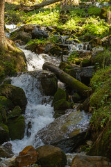 Fototapeta premium Little waterfall along an alpine trail