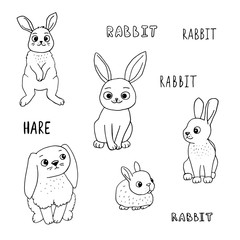 Doodle outline rabbits set with lettering. Cute cartoon characters