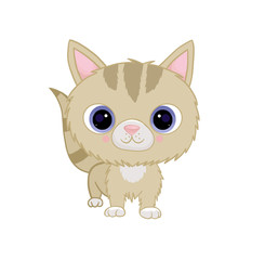 Cute kitten with big eyes is standing. animal character in cartoon style on a white background