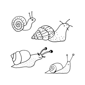 Snail vector illustration. Doodle style. Cute cartoon characters. Design, print, decor, textile, paper