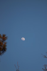 paysage au printemps du ciel lune