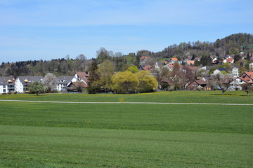 Fototapeta na wymiar Das Dorf Weisslingen, Kanton Zürich