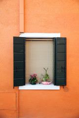 window with flower pots on the island of Burano (Venice)