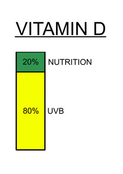 Correlation Between Vitamin D Level And UV Sun Tanning , Diagram Graph On White 