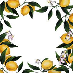 Raster illustration of frame with lemons and leaves on white background. Perfect for design of sticker, invitation, advertisement and poster..
