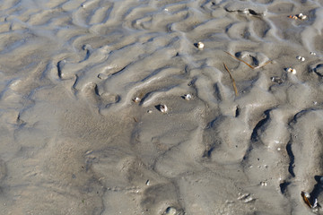 Watt im Wattenmeer bei Cuxhaven