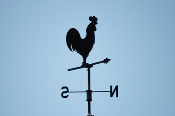 Metal rooster in a vane on a rooftop