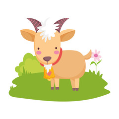 ram flowers in grass farm animal cartoon