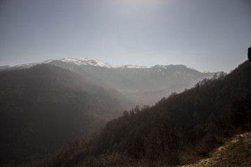 mountain ranges and bare forest
