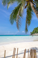 Obraz na płótnie Canvas White Beach and Palm Tree, Boracay island, Philippines.