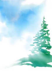Green spruce tree with blue clear sky