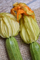 zucchine ortaggi freschi
